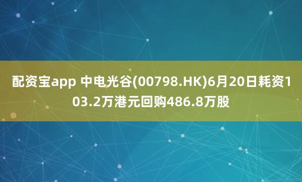 配资宝app 中电光谷(00798.HK)6月20日耗资103.2万港元回购486.8万股