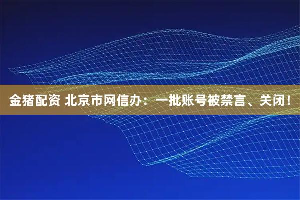 金猪配资 北京市网信办：一批账号被禁言、关闭！